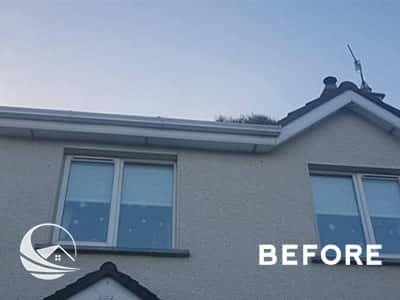 Gutter cleaning dublin (before)